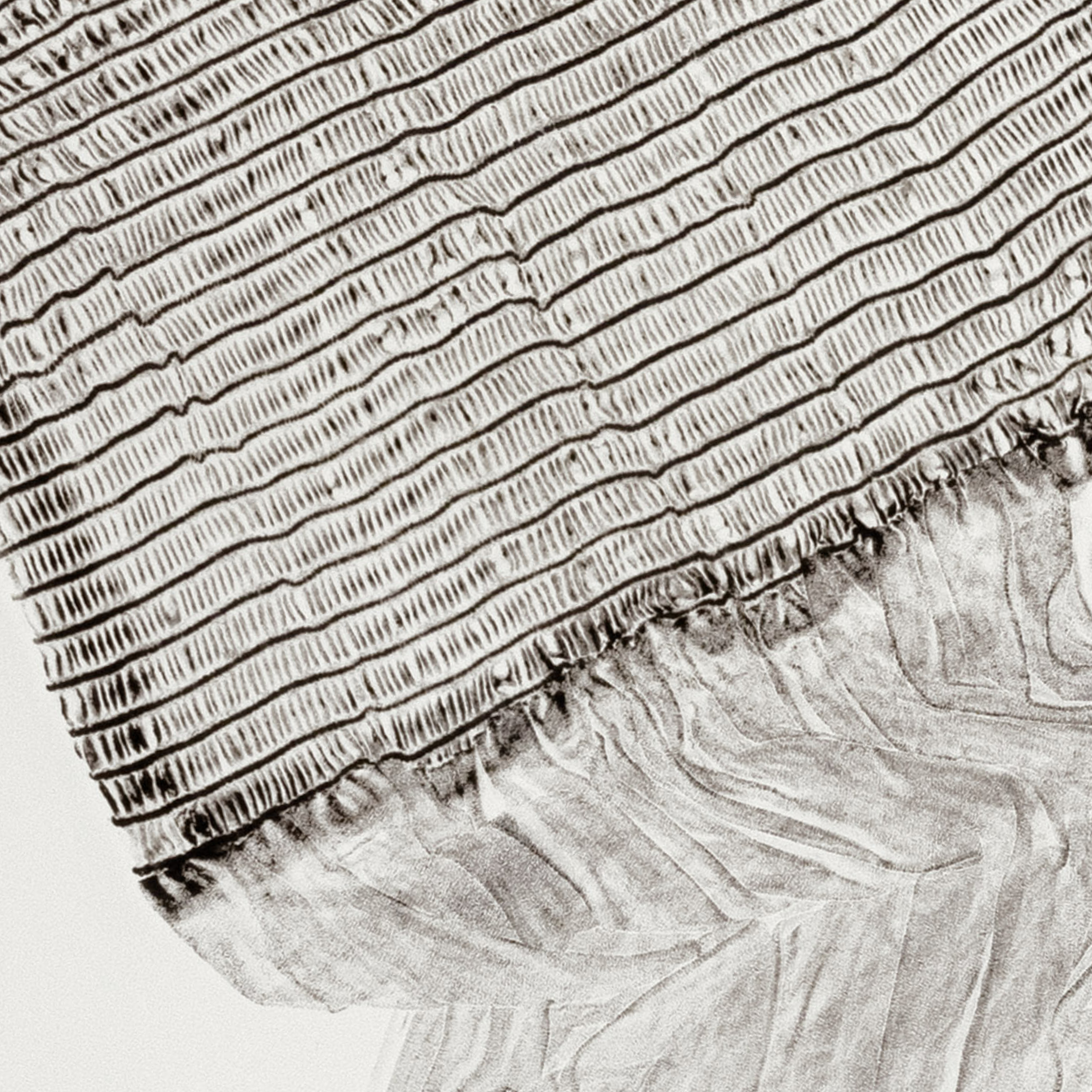 ORDER CELESTIAL BODIES 10