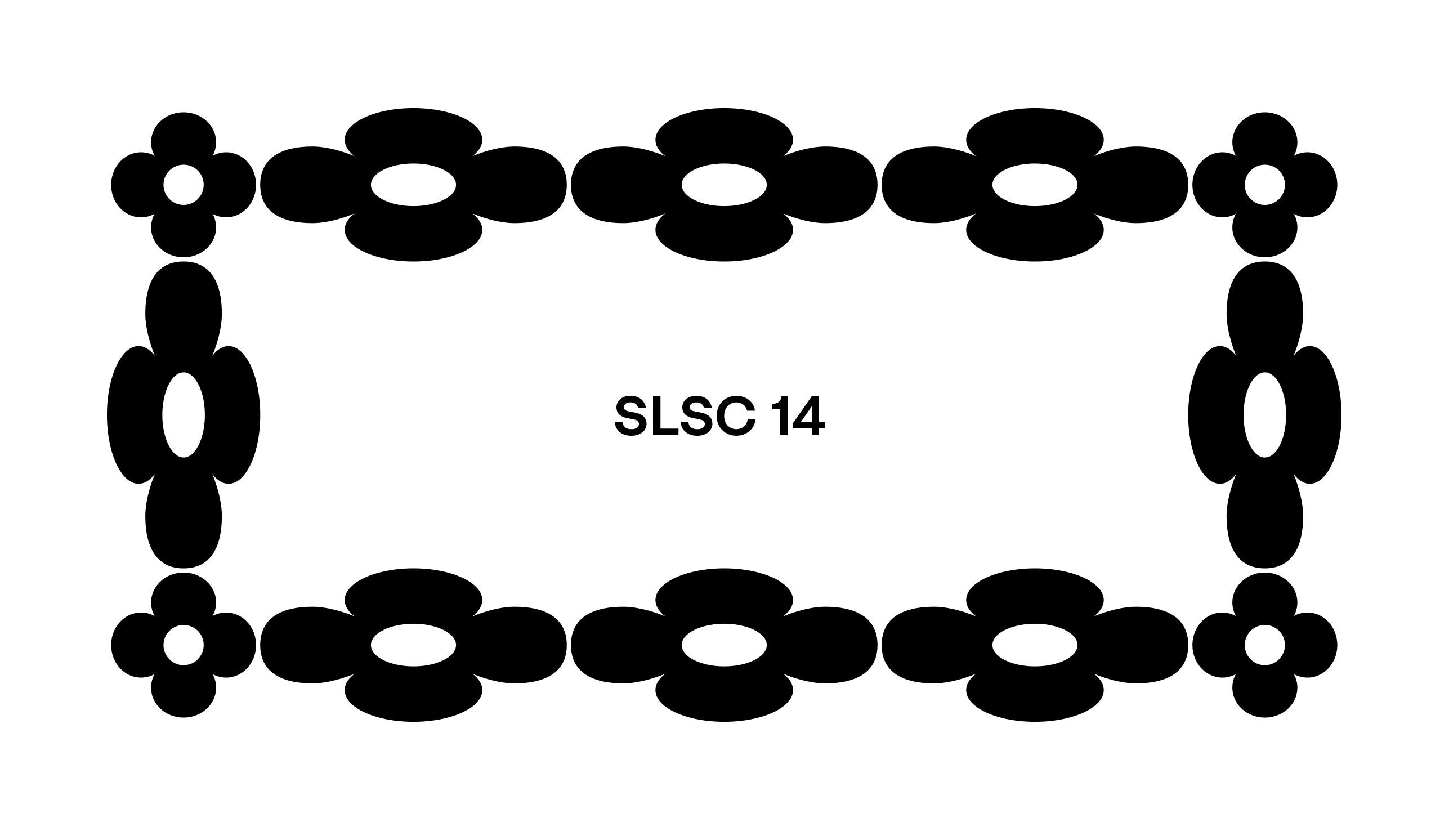 ORDER SLSC 13