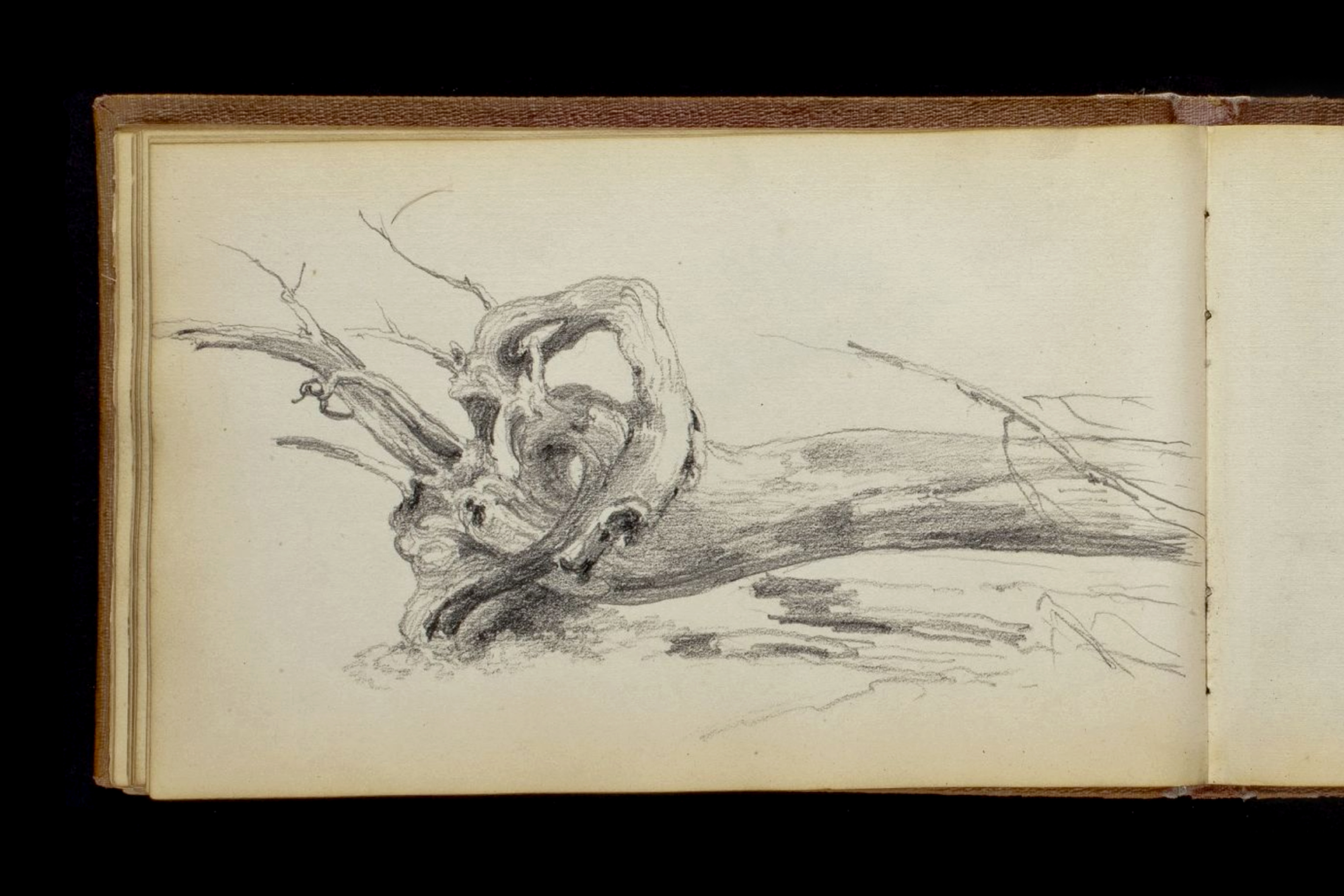 Order American Landscapes 02