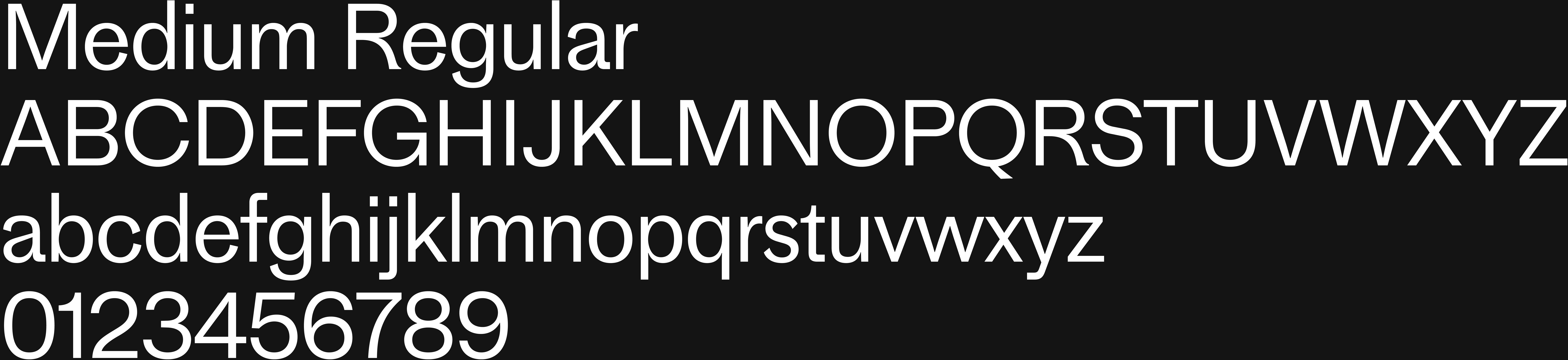 GROOVE WEBSITE TYPE 08