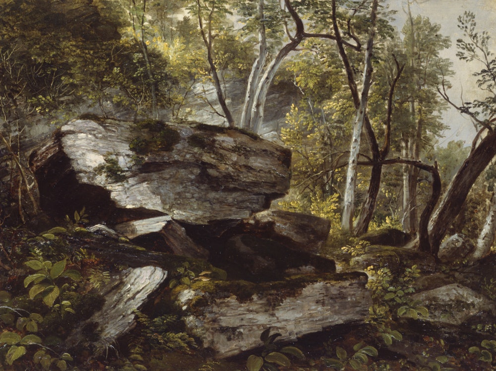 Durand Rocks And Trees