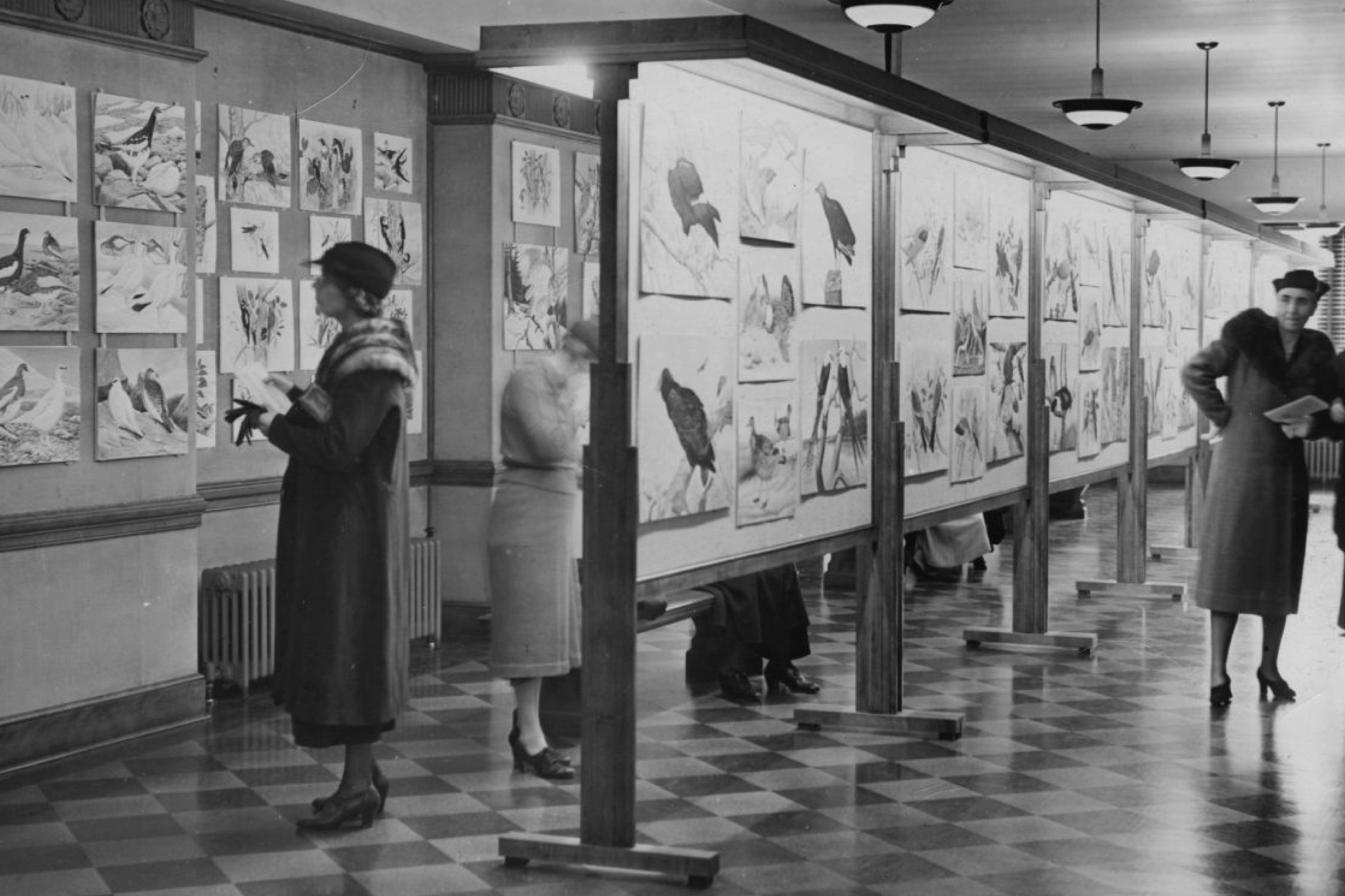 Order Website Assets Rb3