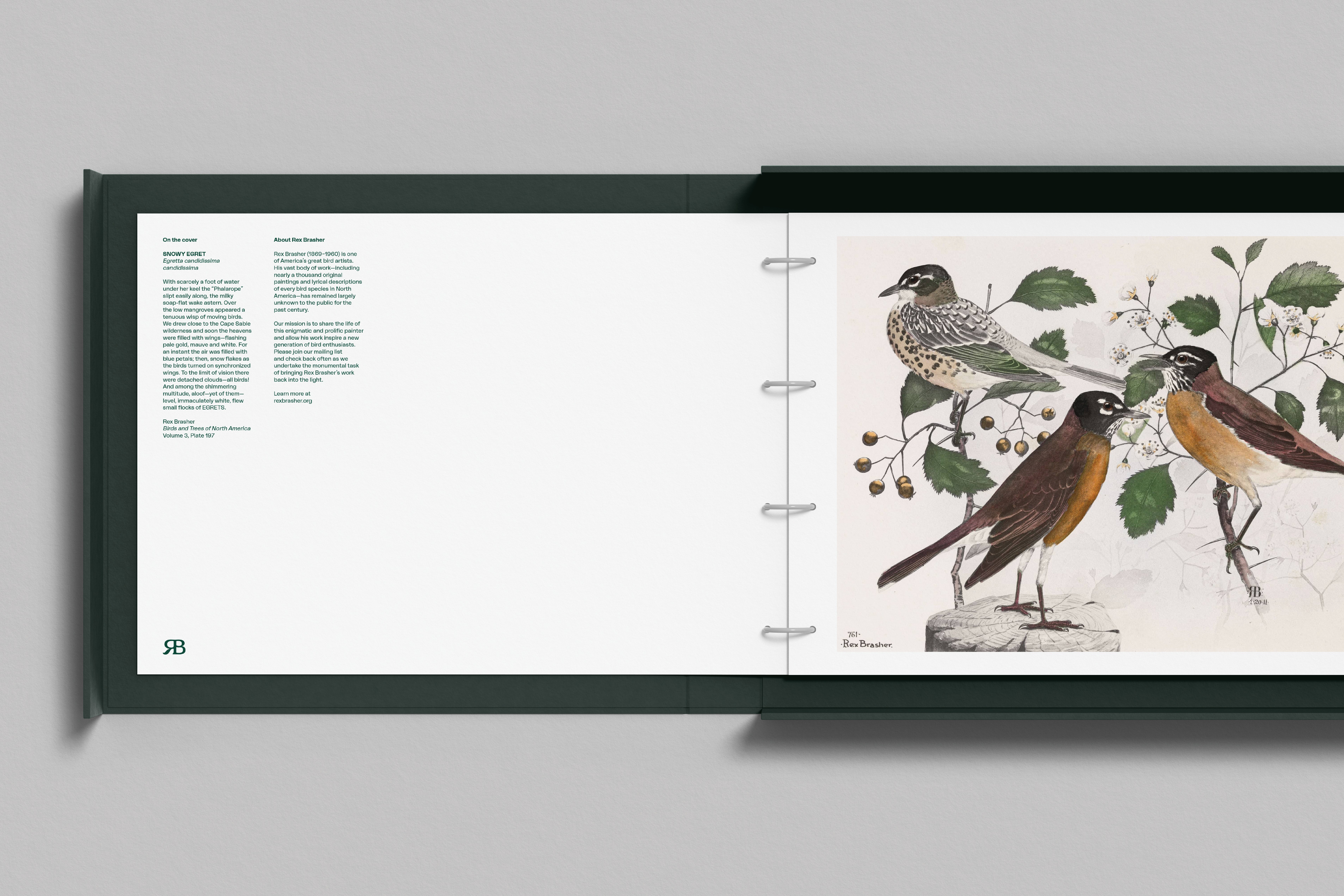 Order Website Assets Rb7