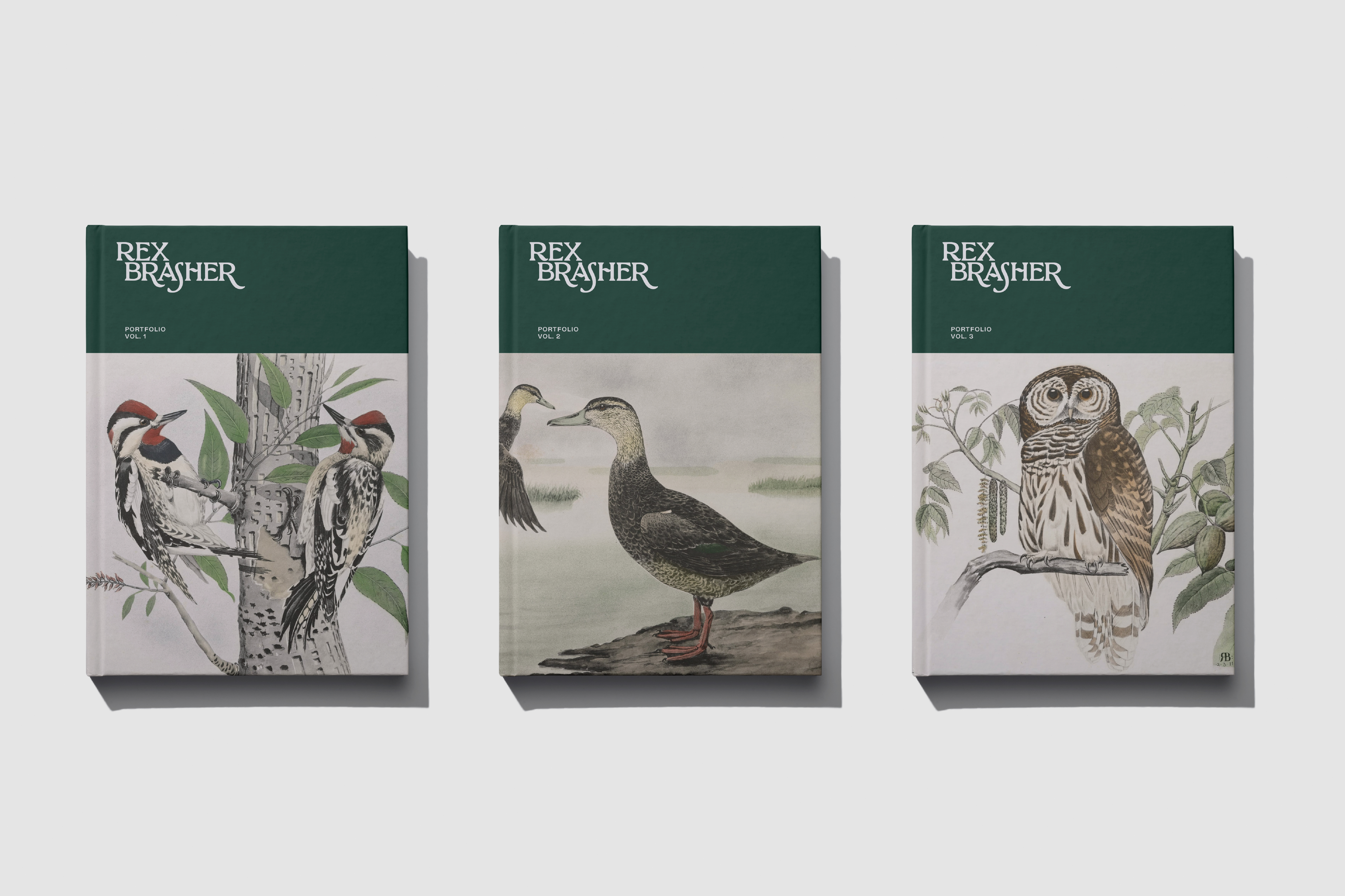 Order Website Assets Rb8