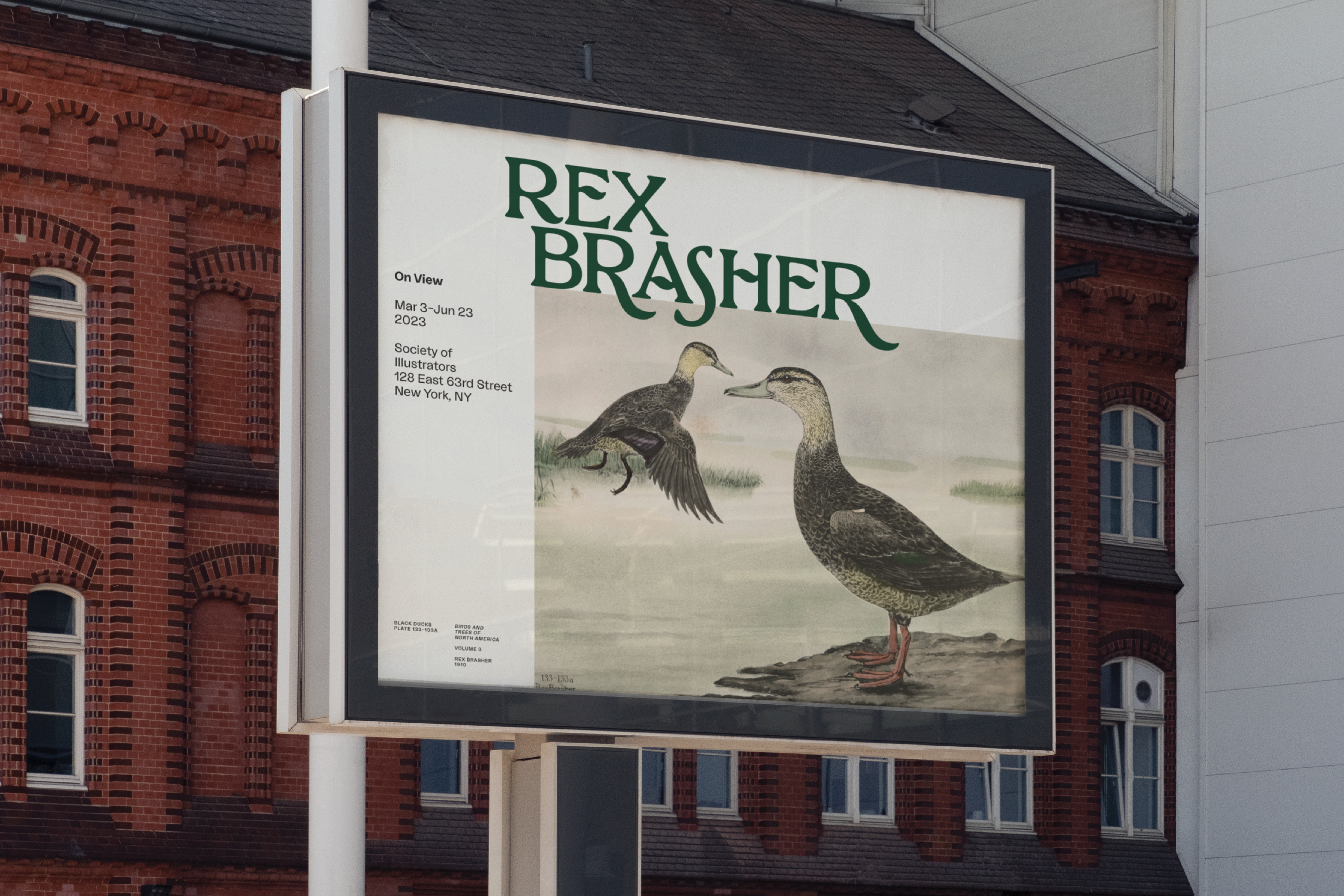 Order Website Assets Rb9