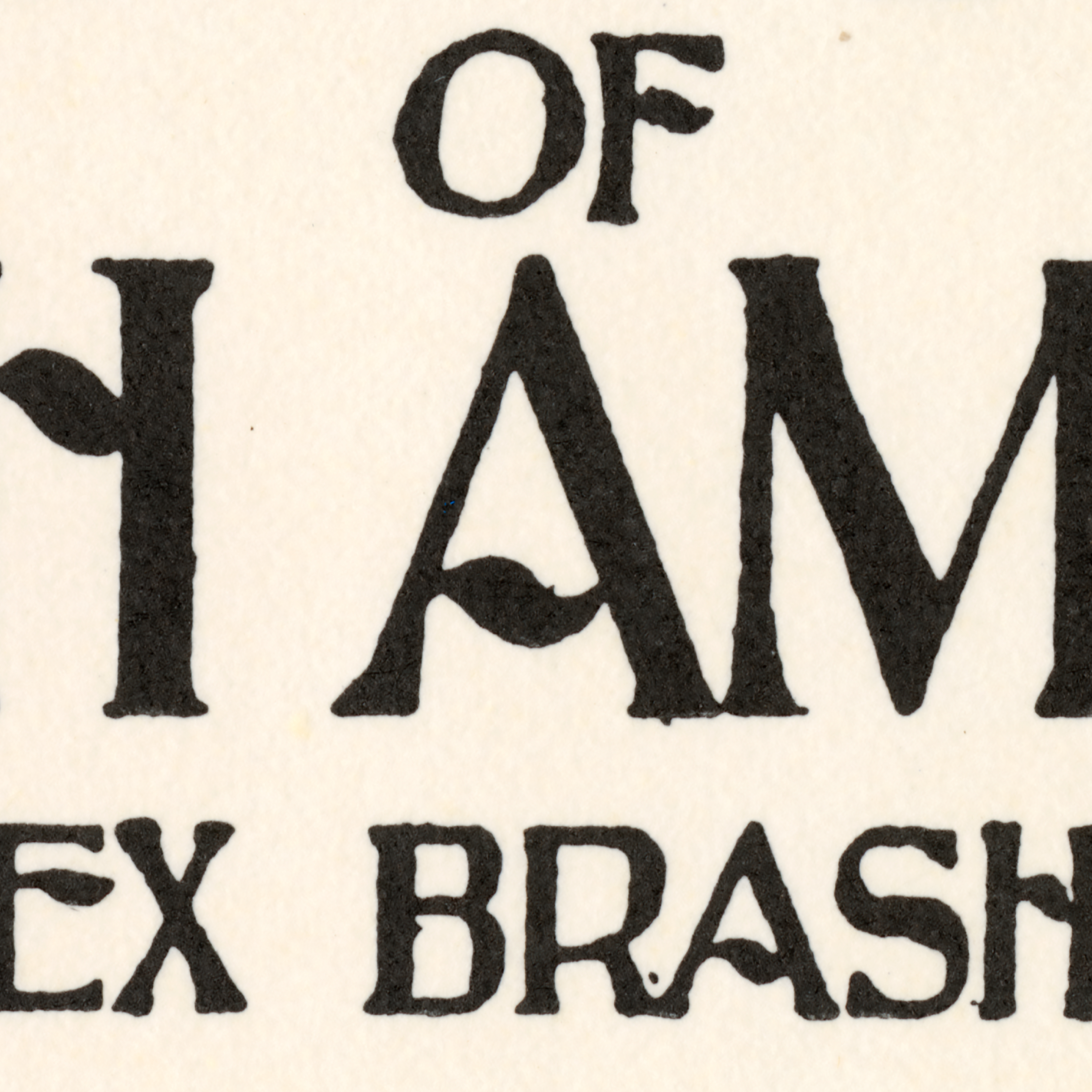 Order Website Assets Sqr Rb2