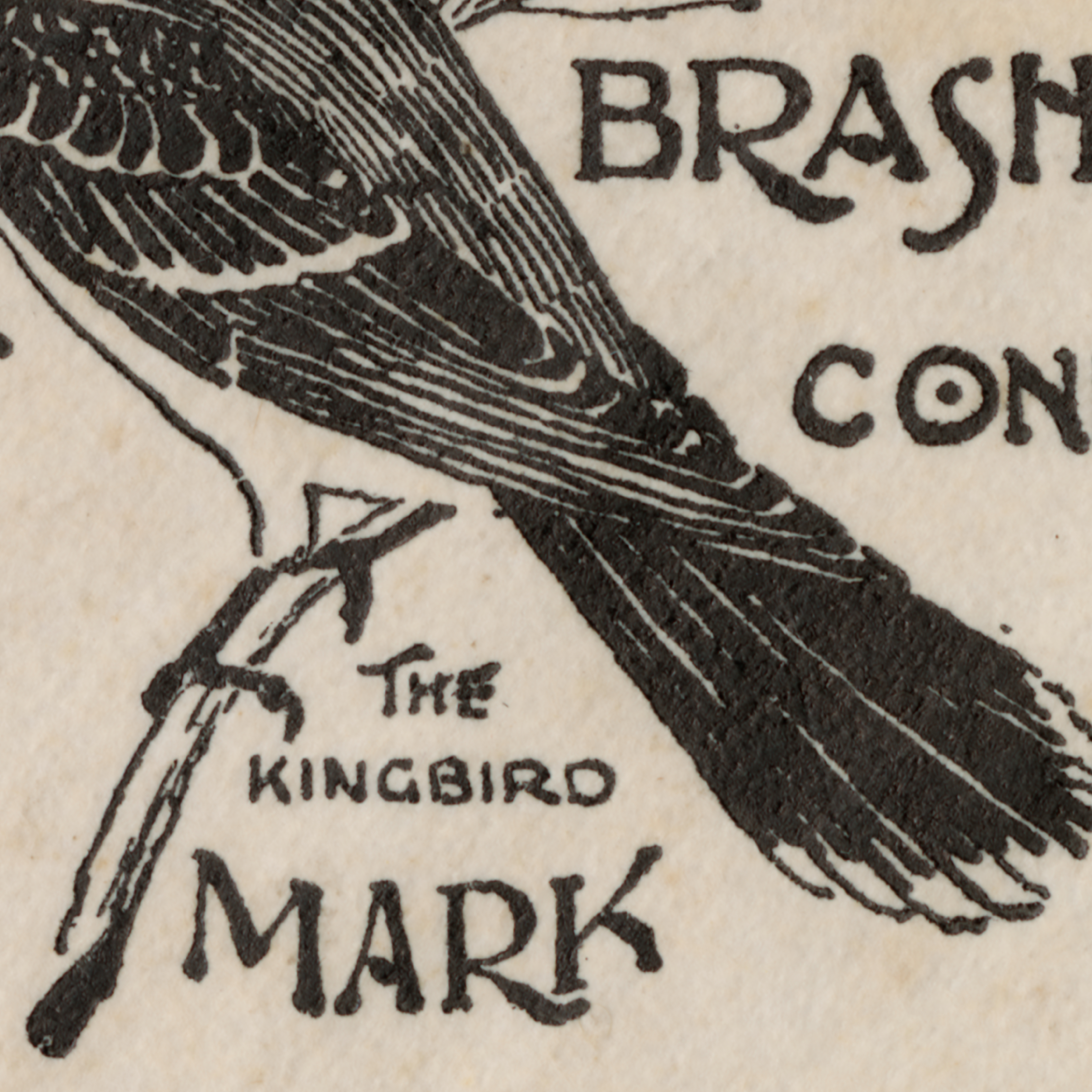 Order Website Assets Sqr Rb3