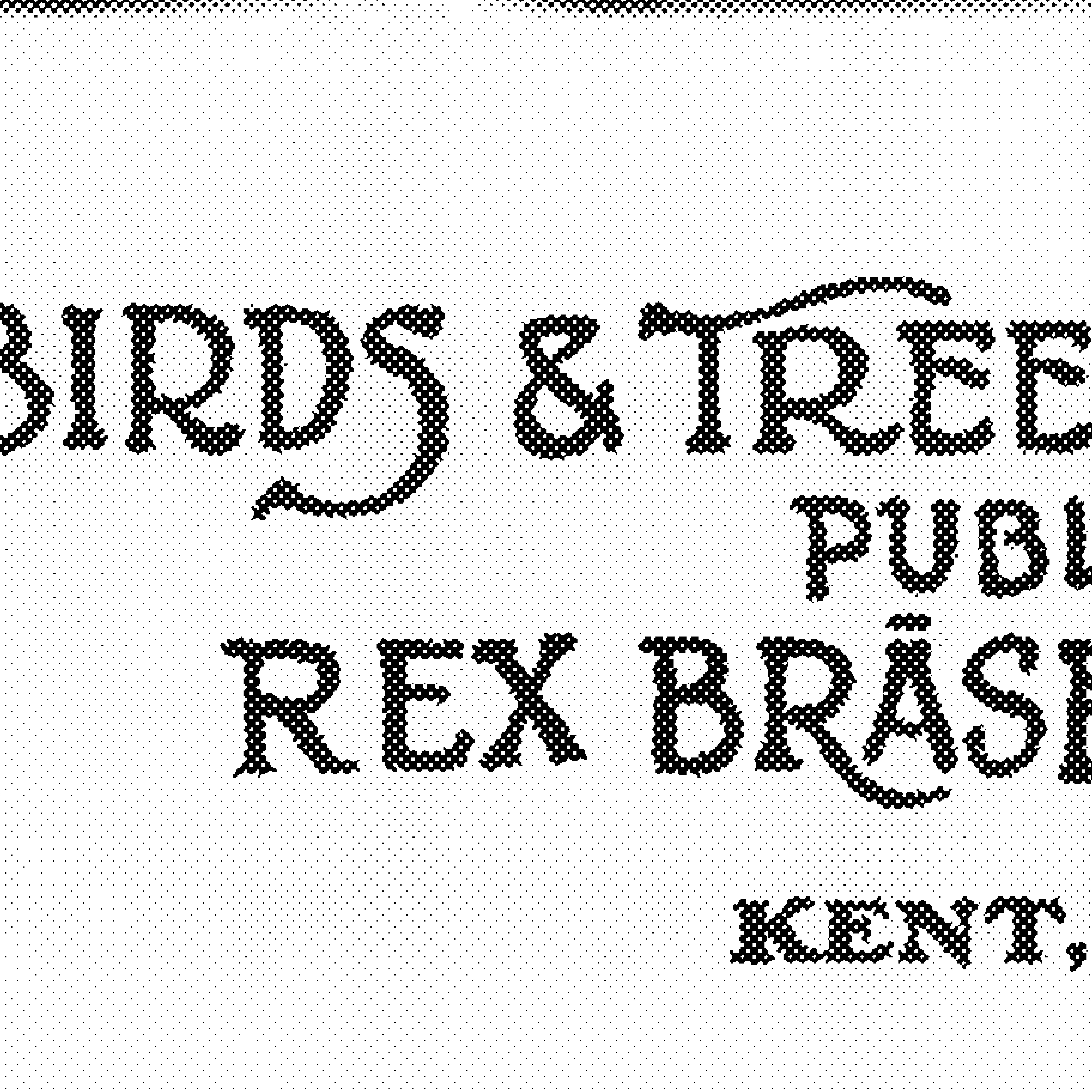 Order Website Assets Sqr Rb6