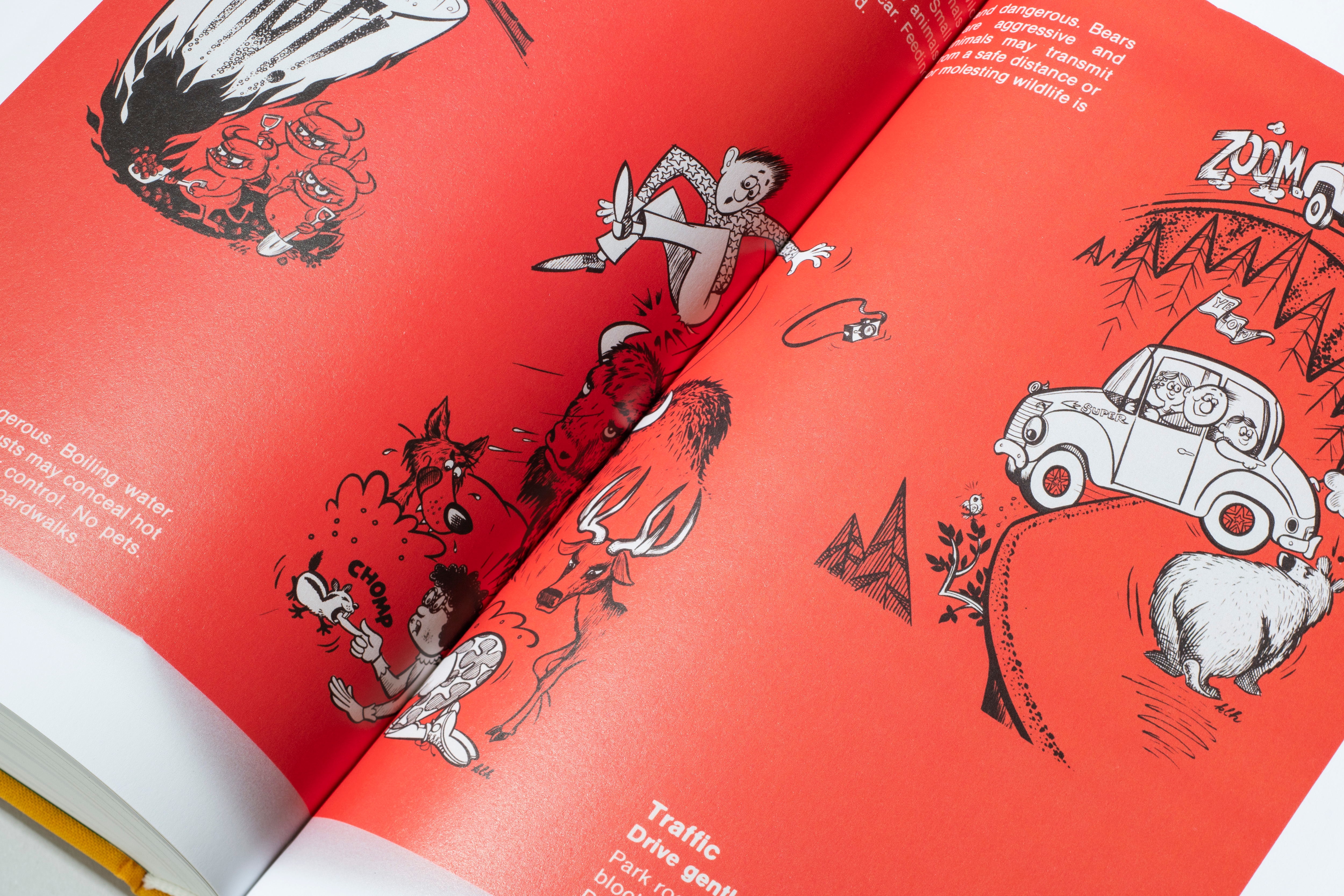 Standards Manual Parks Book3247