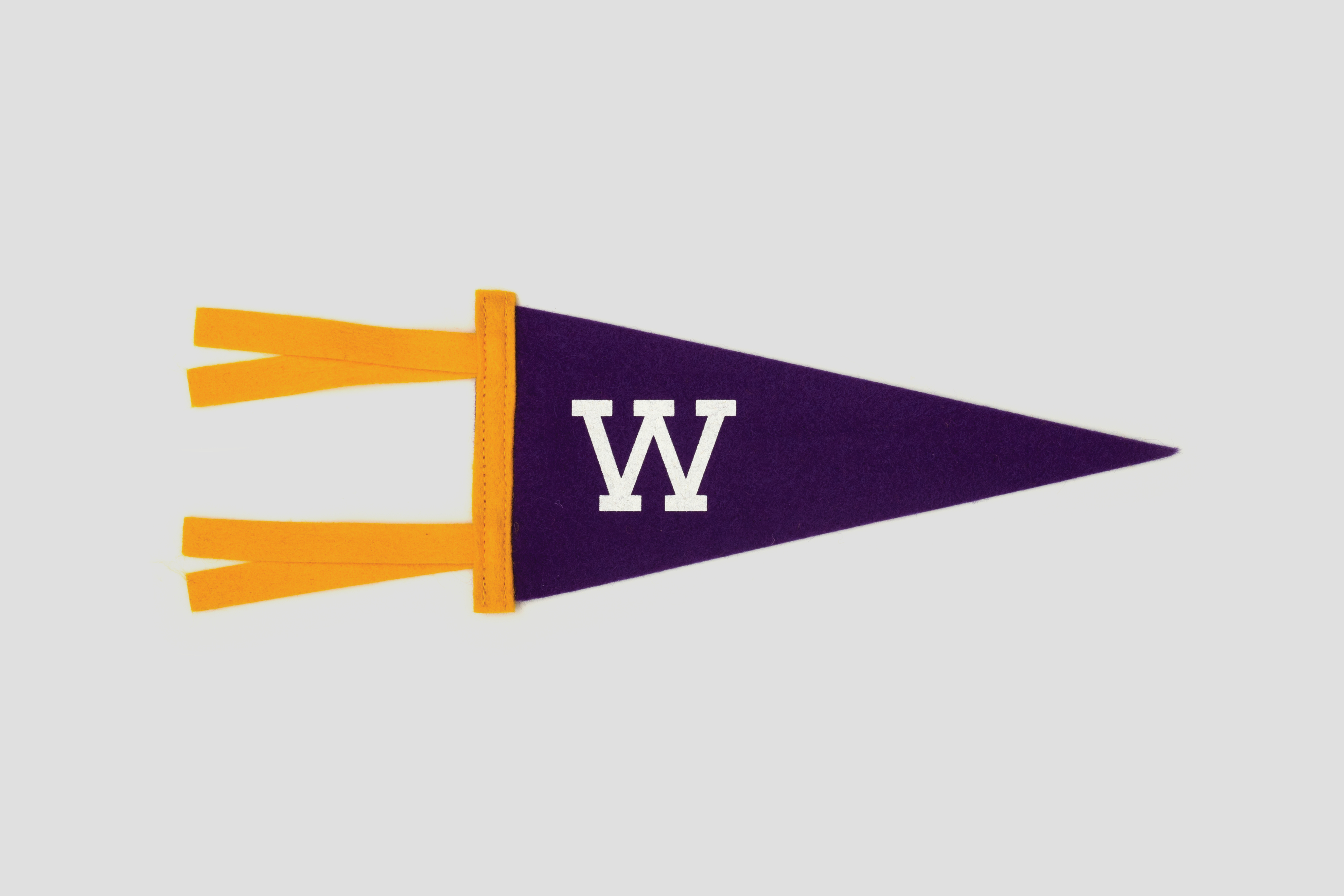 Williams Casestudy Rectangle 1280px30