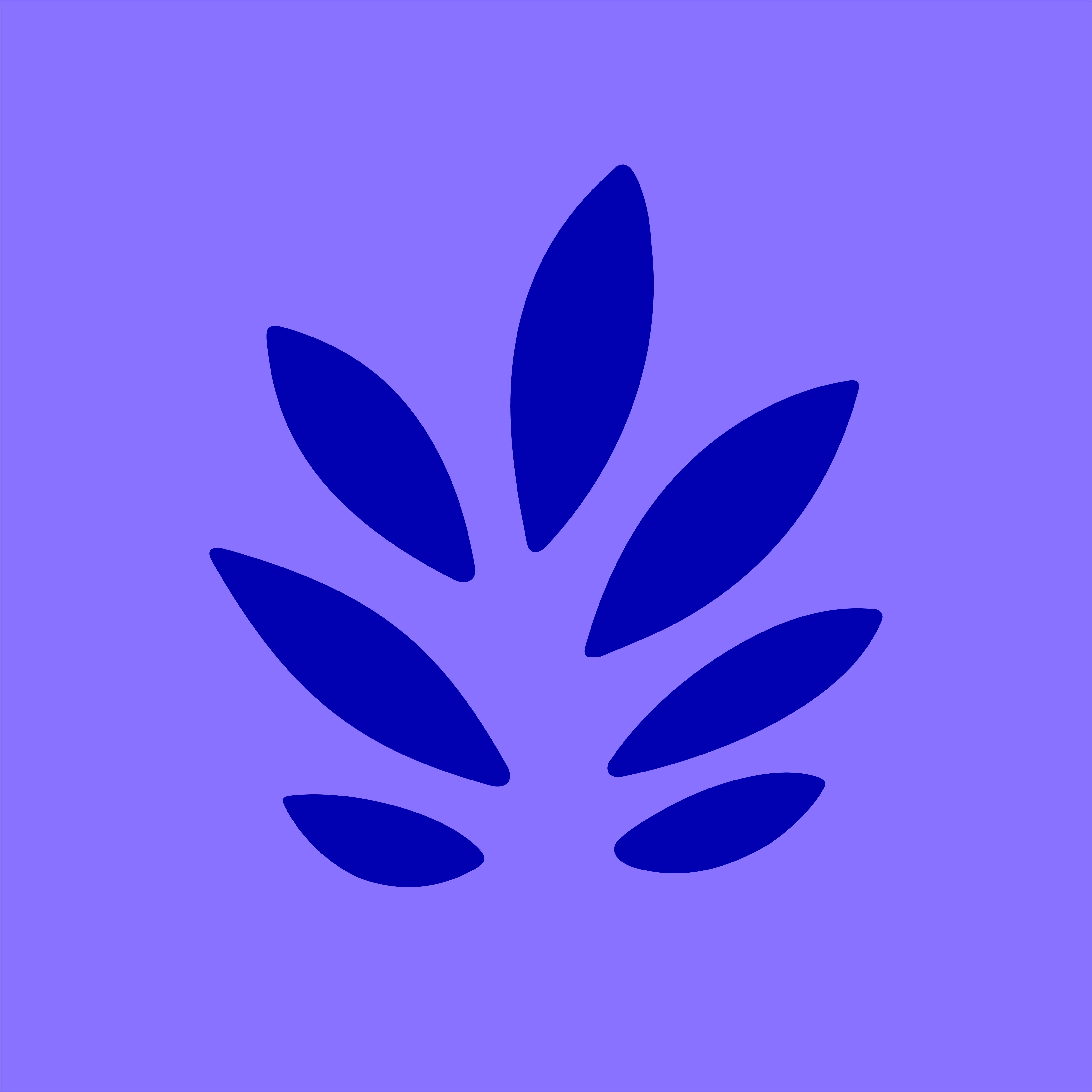 Sourdough Disco Documentation 201022 08