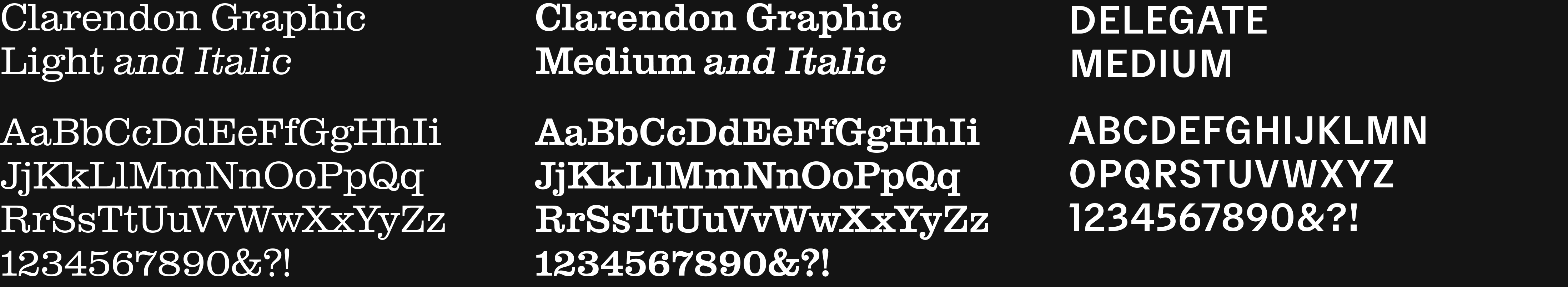 ORDER WEBSITE ASSETS TYPOGRAPHY SCHWARTZAPFEL 03