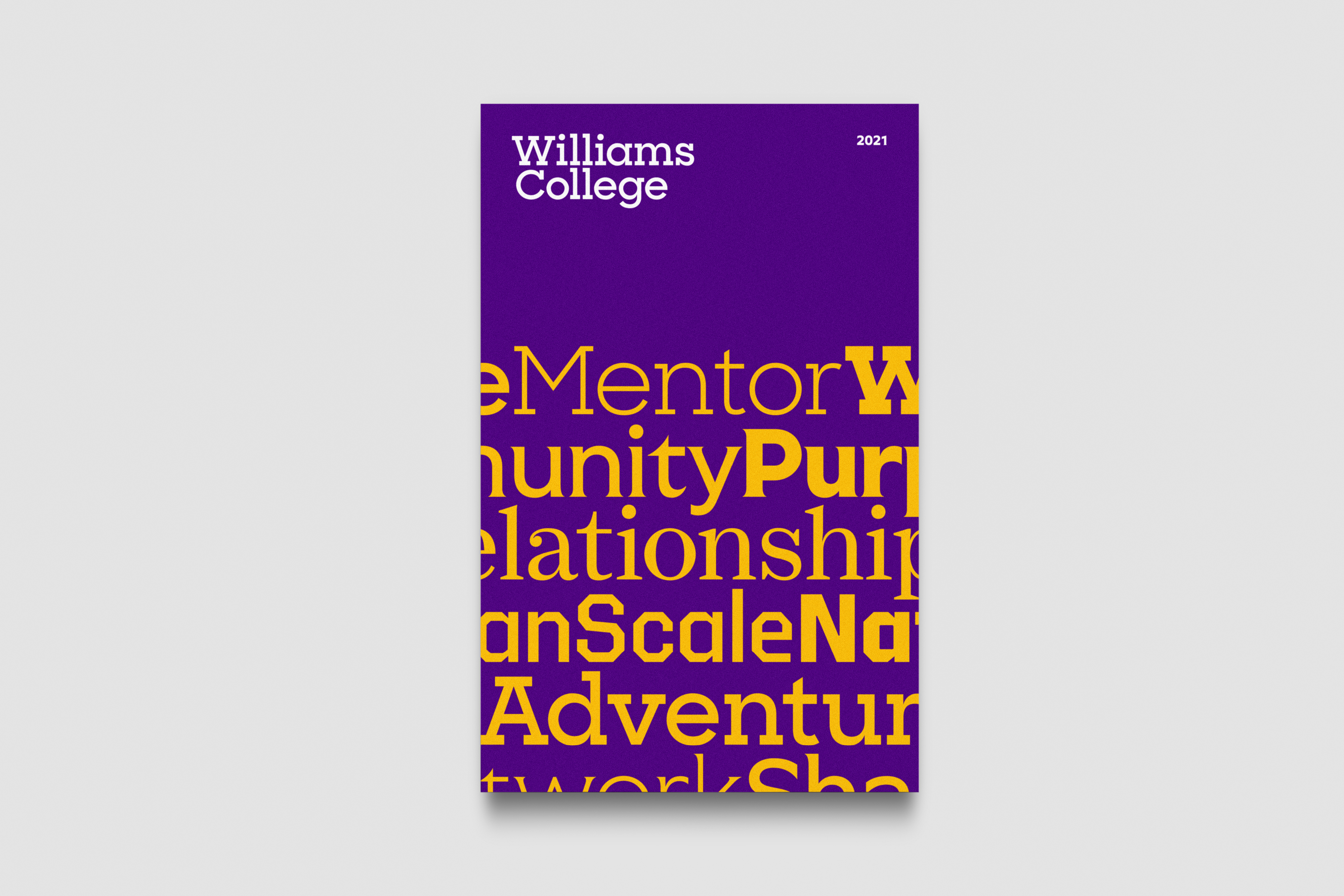 Williams Casestudy Rectangle 1280px32