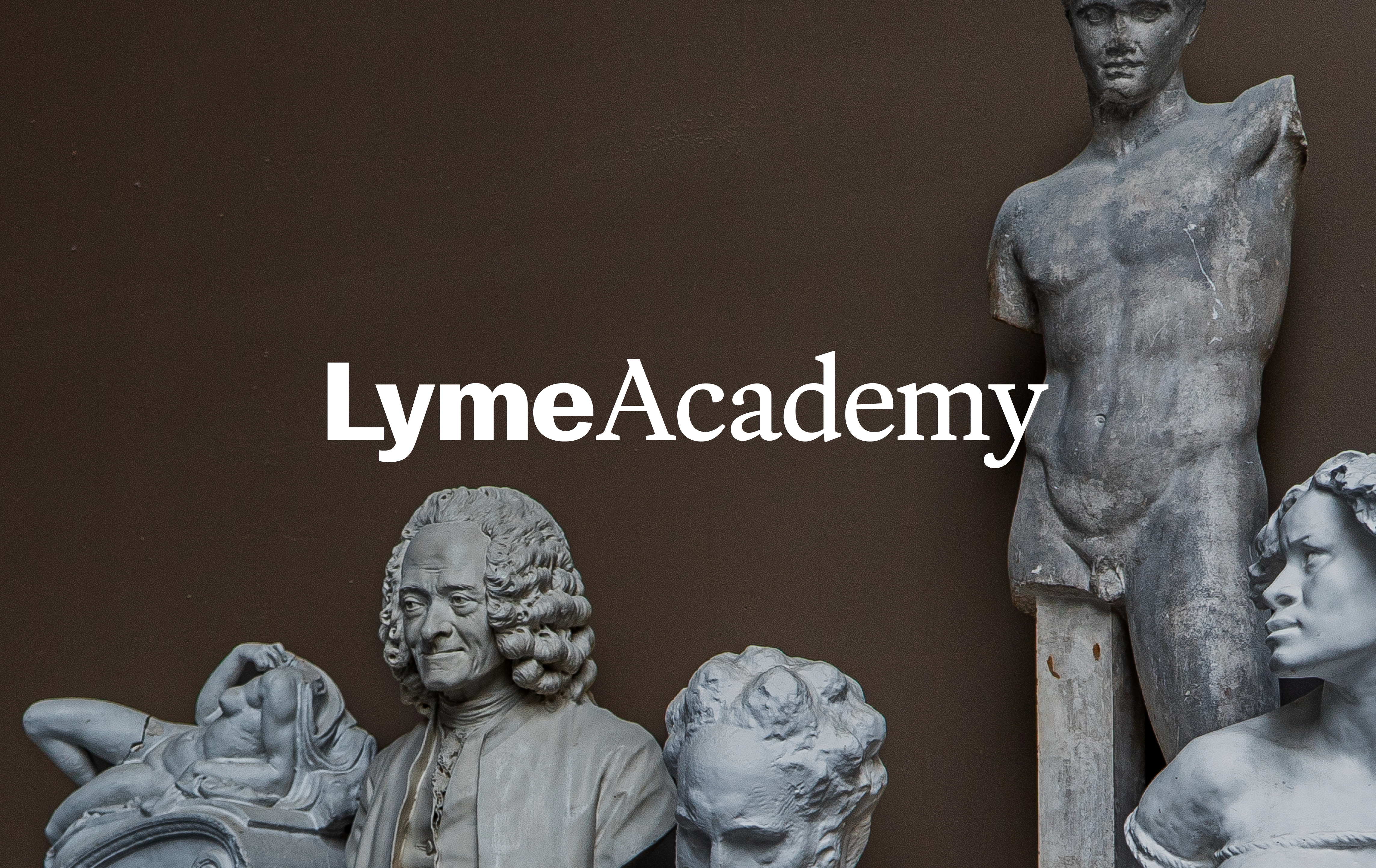 ORDER WEBSITE ASSETS REC LYME