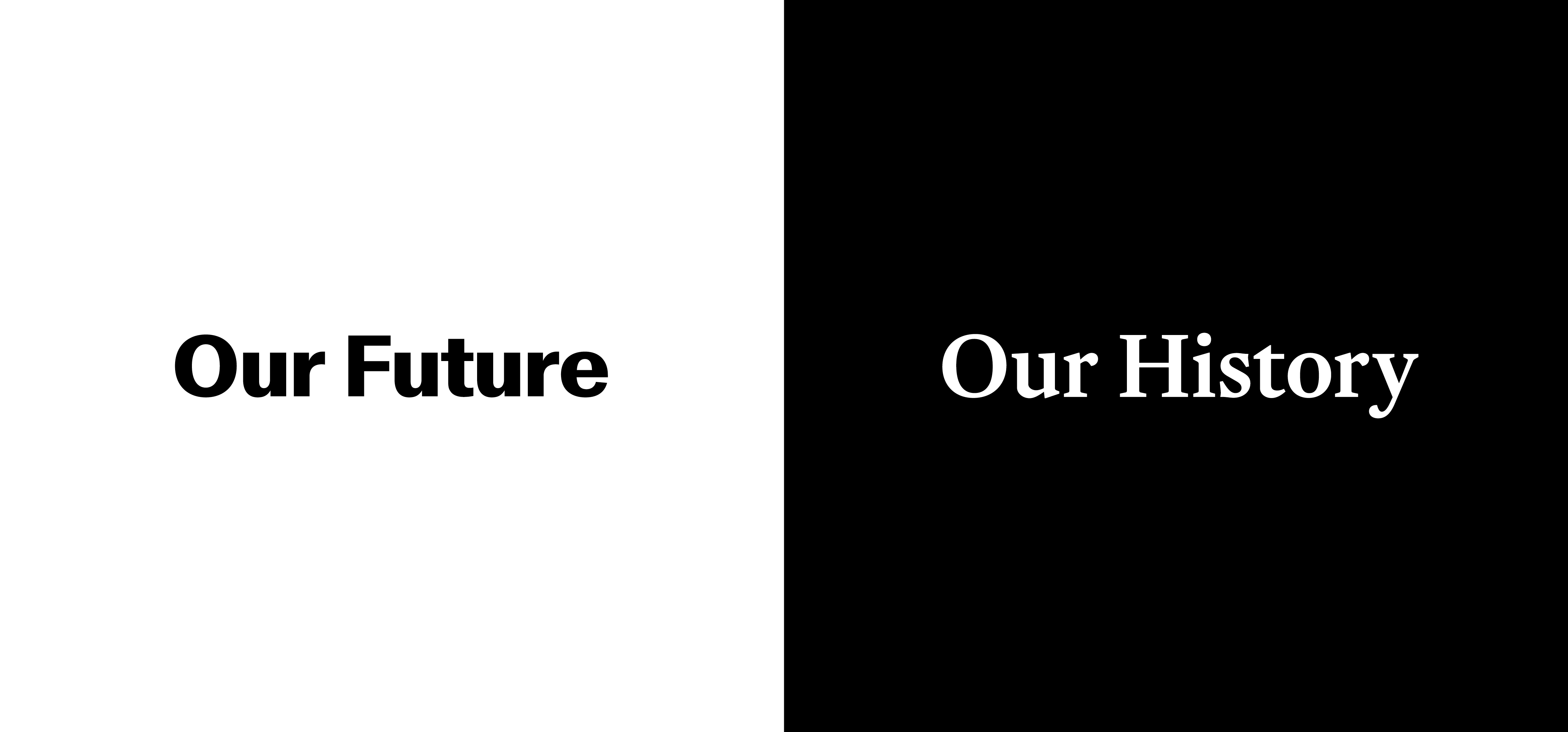 ORDER WEBSITE ASSETS REC LYME18