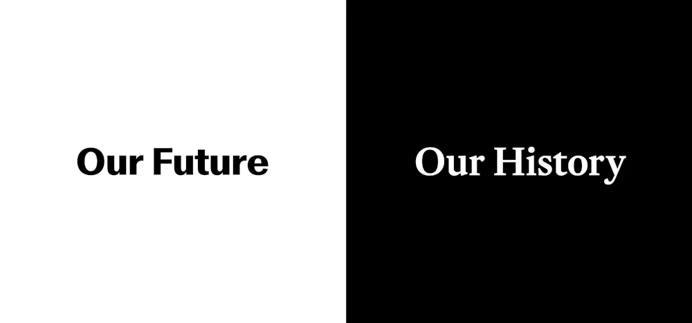 ORDER WEBSITE ASSETS REC LYME18