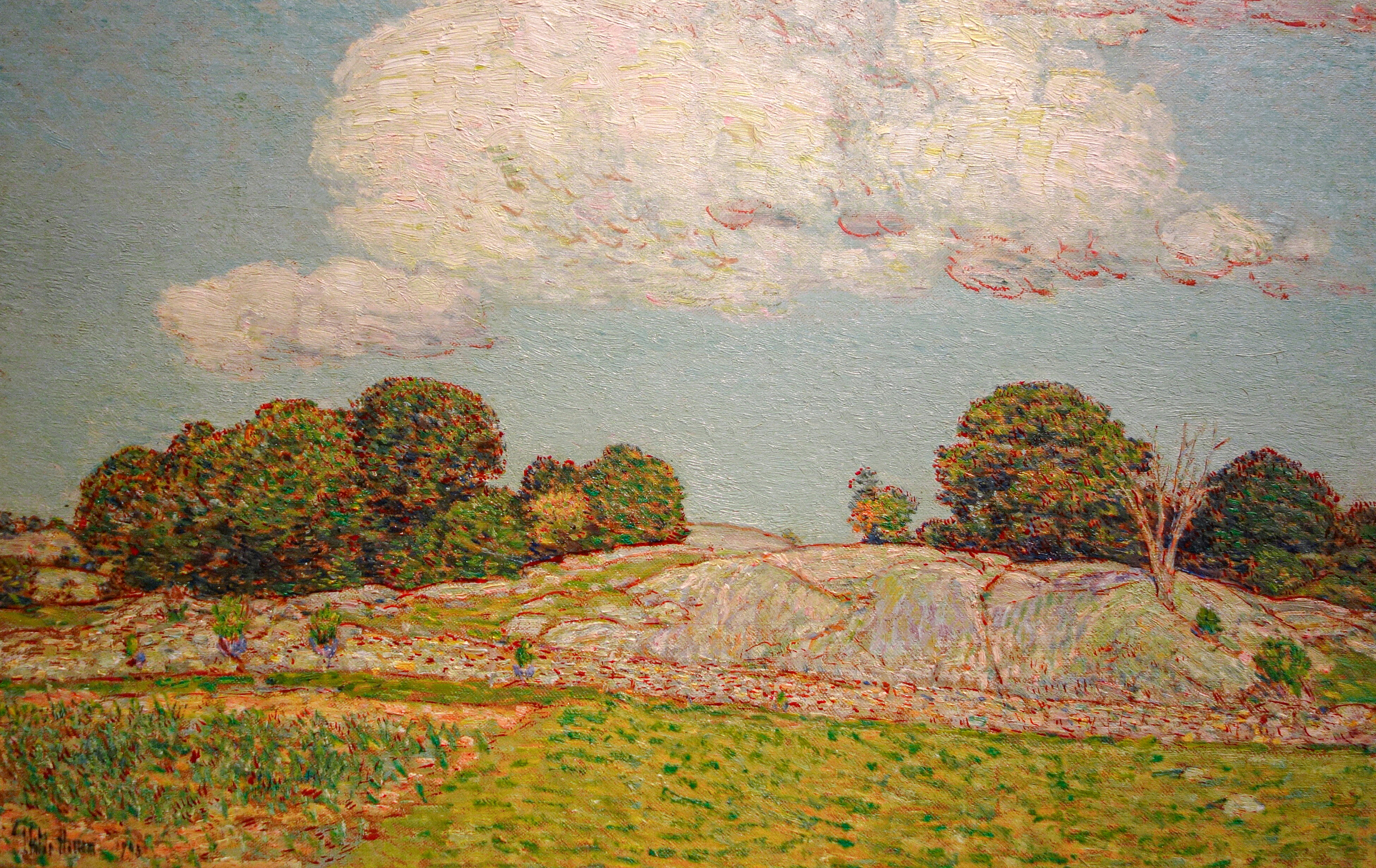 ORDER WEBSITE ASSETS REC LYME2