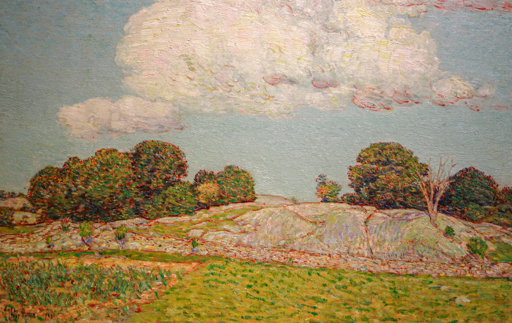 ORDER WEBSITE ASSETS REC LYME2