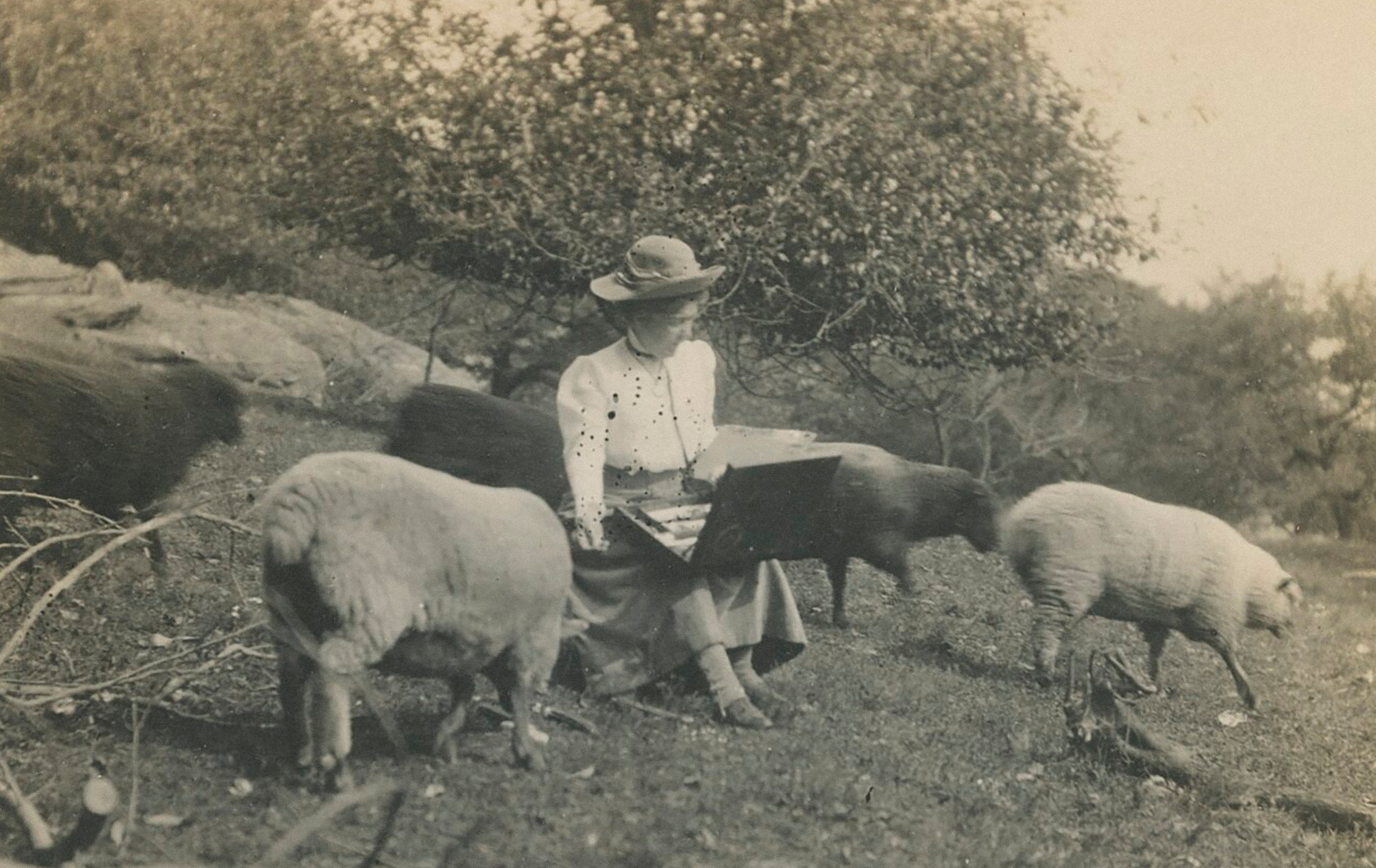 ORDER WEBSITE ASSETS REC LYME3