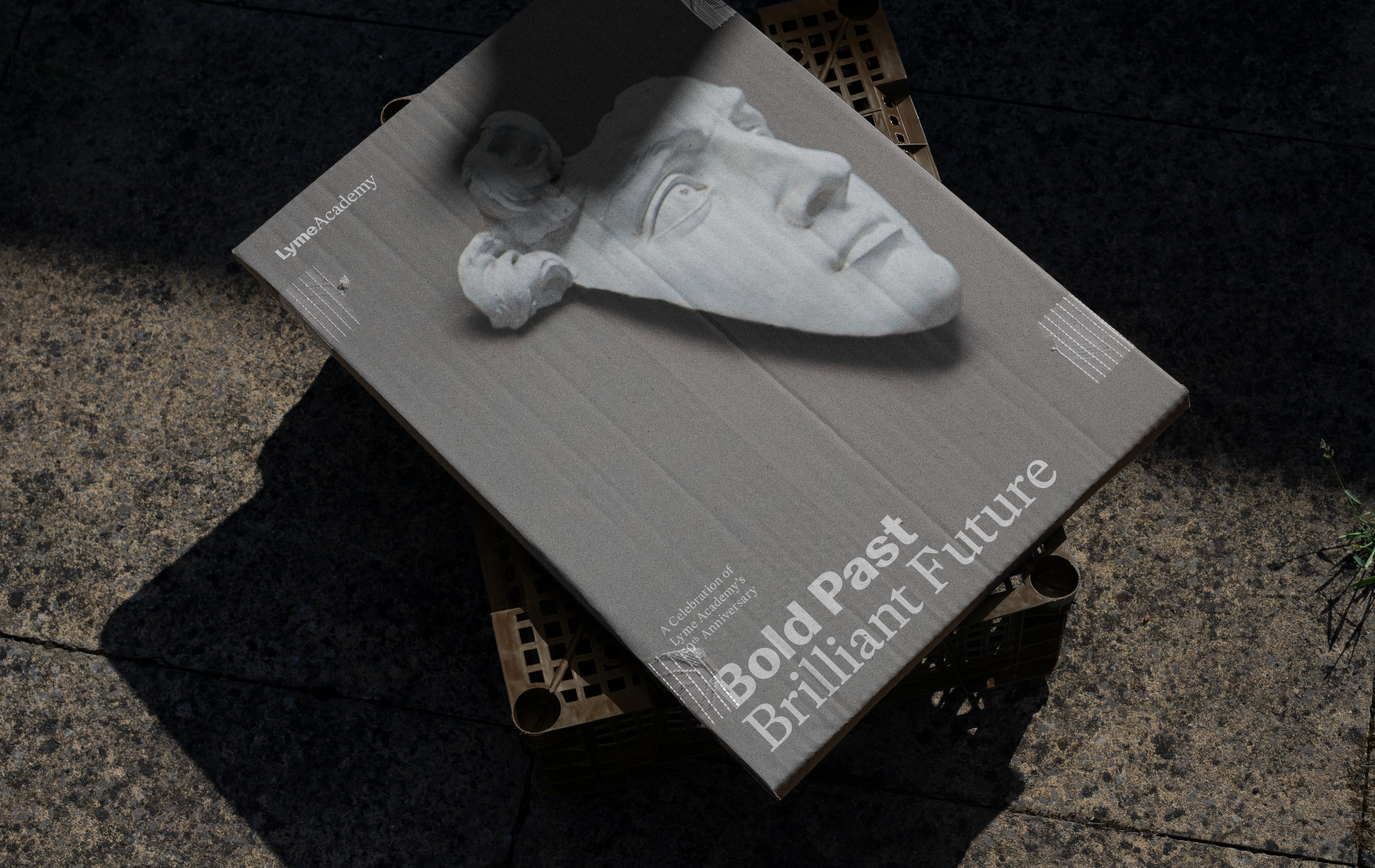 ORDER WEBSITE ASSETS REC LYME45