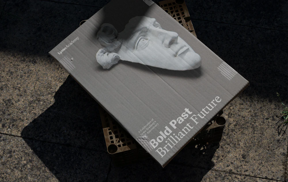 ORDER WEBSITE ASSETS REC LYME45