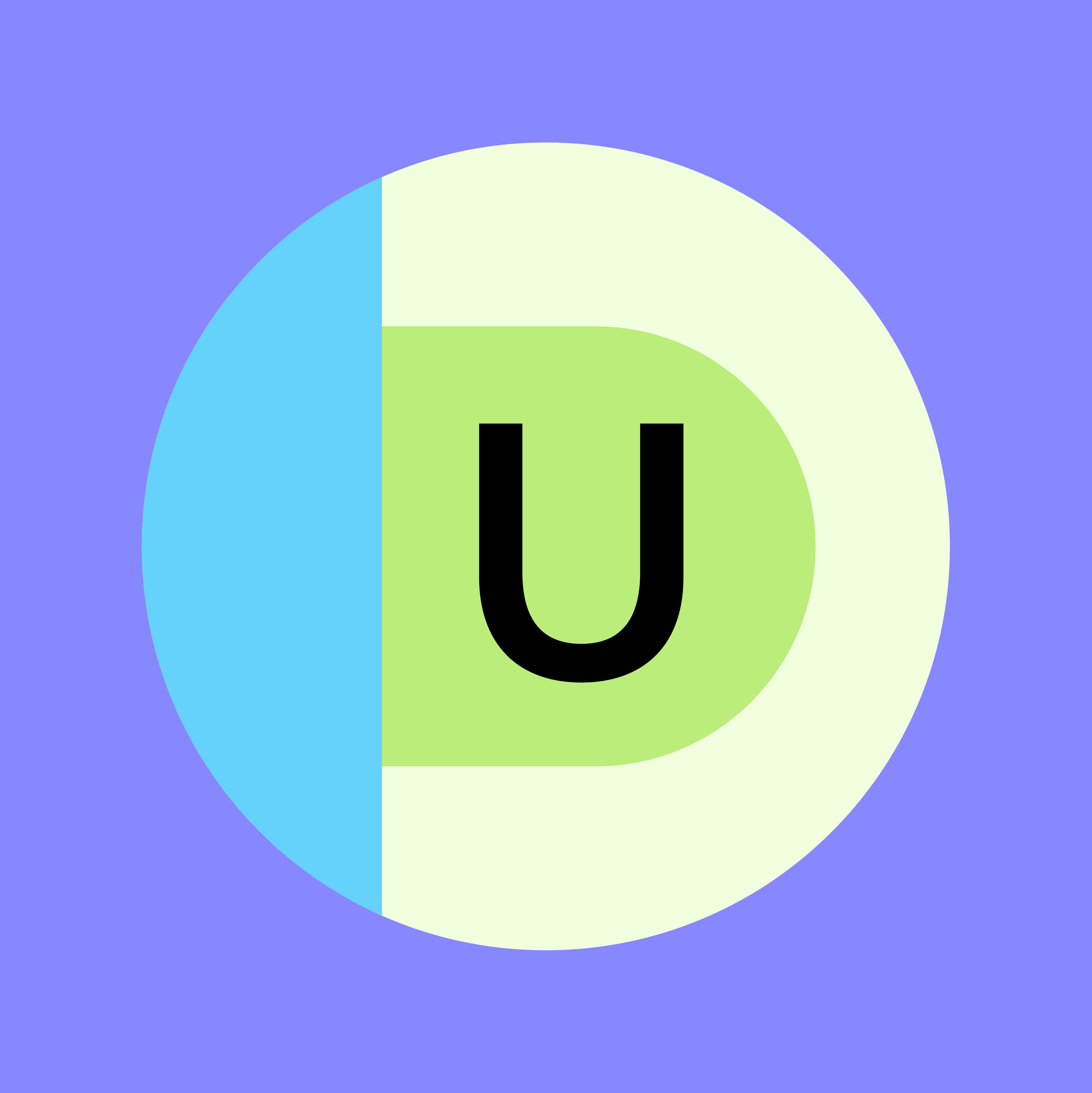 Undivided Case Study 11