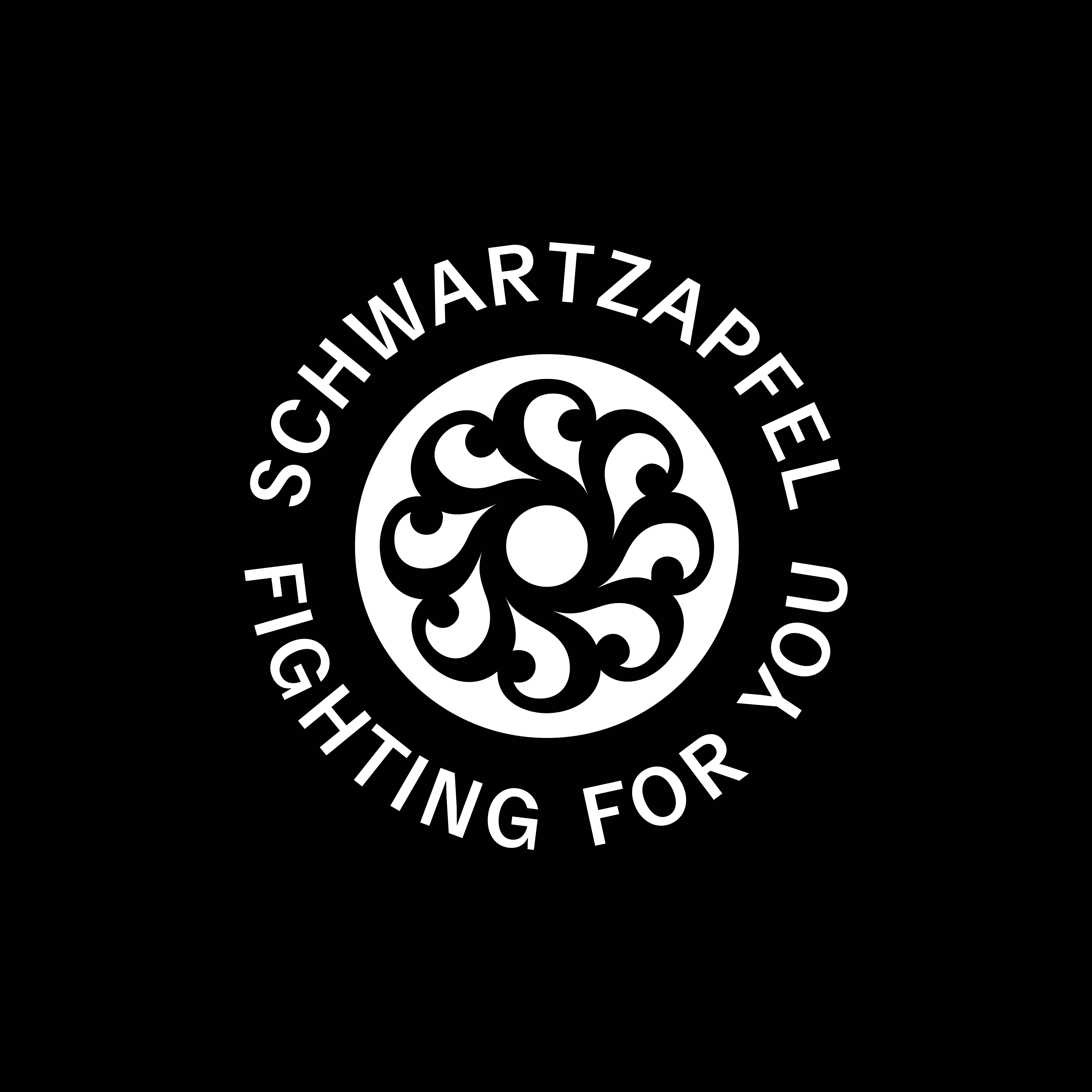 ORDER WEBSITE ASSETS 02 SQR SCHWARTZAPFEL 1