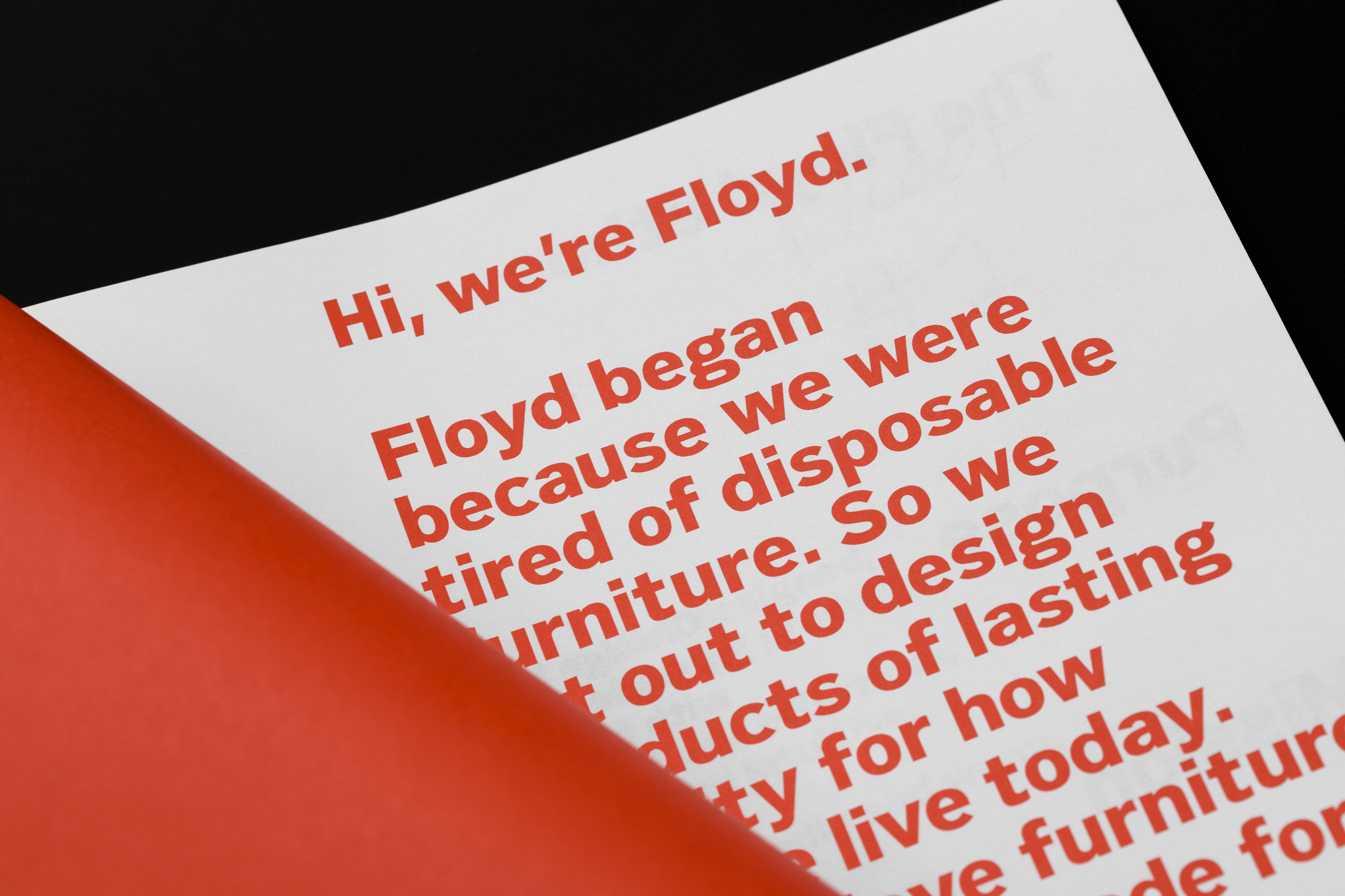 Floyd Guidelines Detail 02