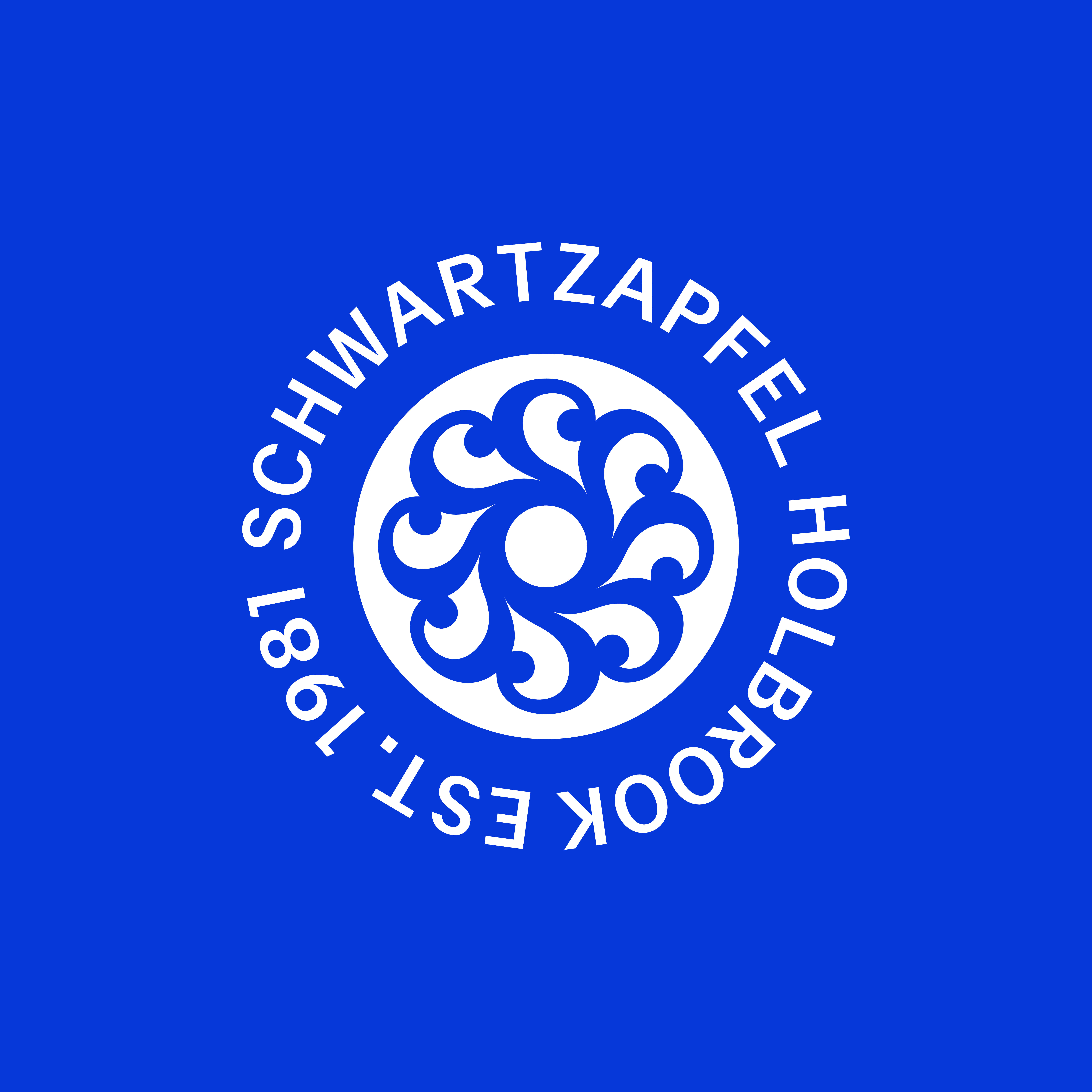ORDER WEBSITE ASSETS 02 SQR SCHWARTZAPFEL 3