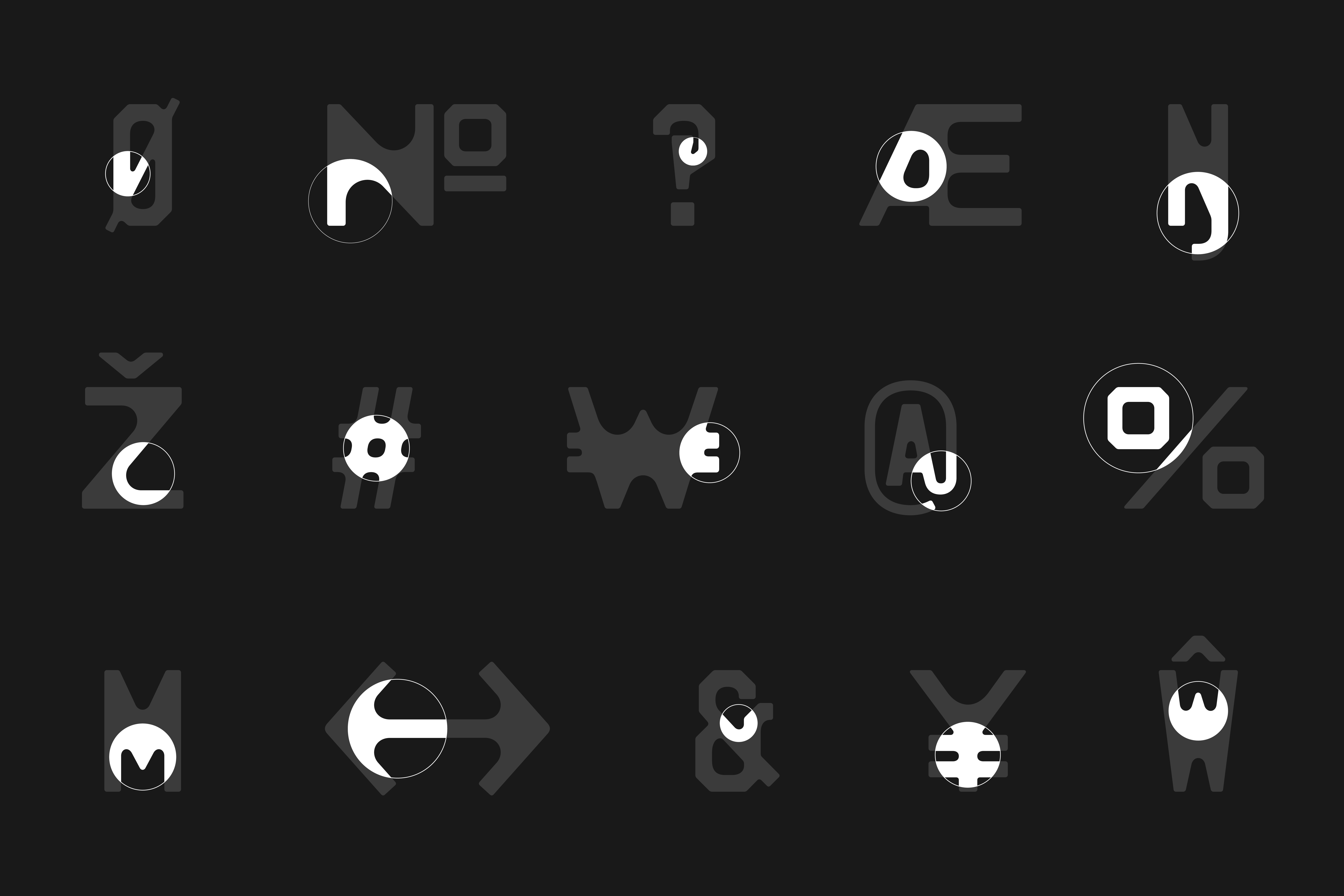 Vanity Website Assets4